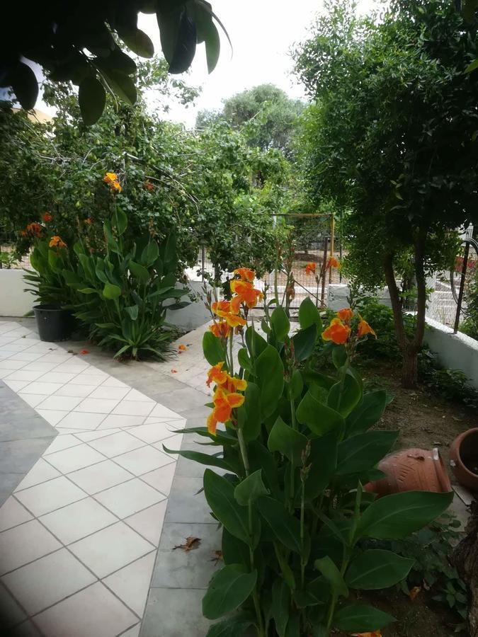 Apollo Hotel กาวอส ภายนอก รูปภาพ