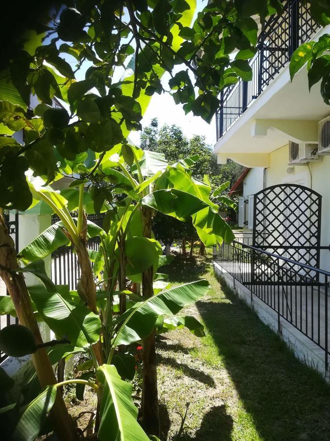 Apollo Hotel กาวอส ภายนอก รูปภาพ
